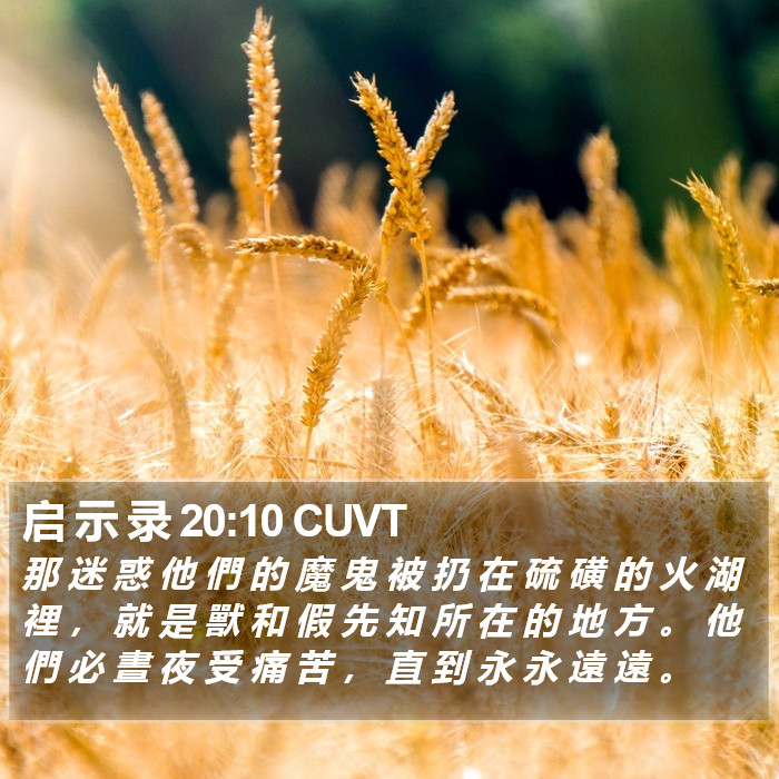 启 示 录 20:10 CUVT Bible Study
