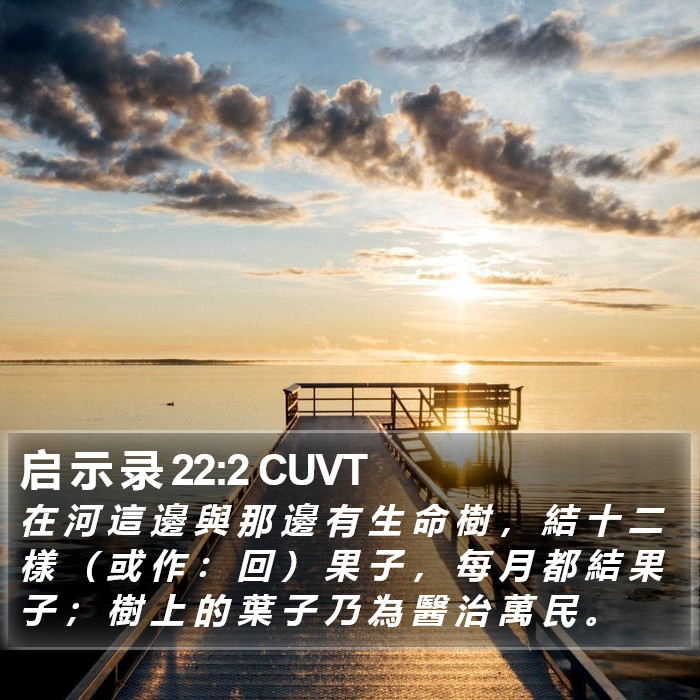 启 示 录 22:2 CUVT Bible Study