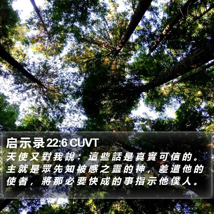 启 示 录 22:6 CUVT Bible Study