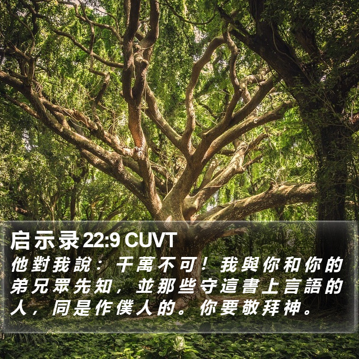 启 示 录 22:9 CUVT Bible Study